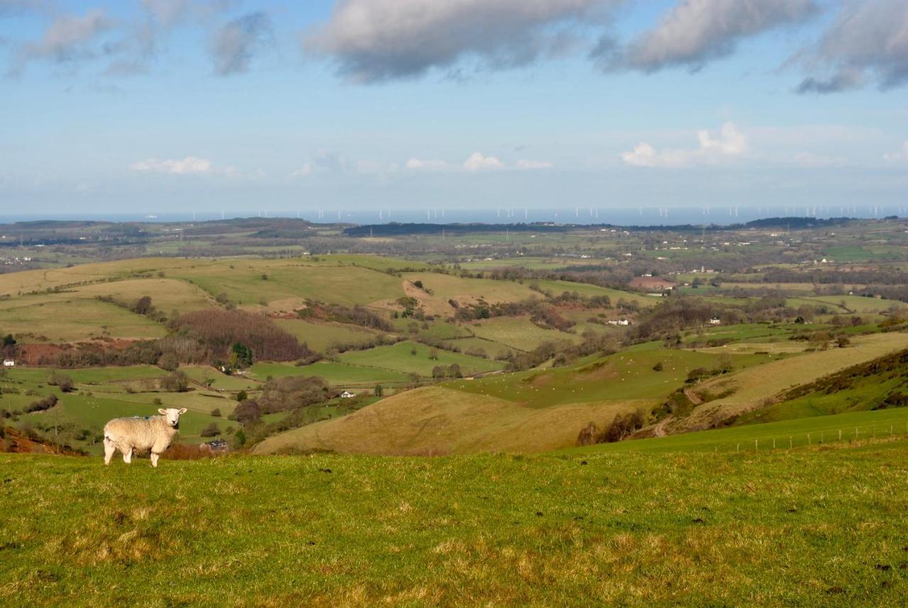 Penbedw Uchaf Estate - Rural Retreats, Tennis Mold Bagian luar foto