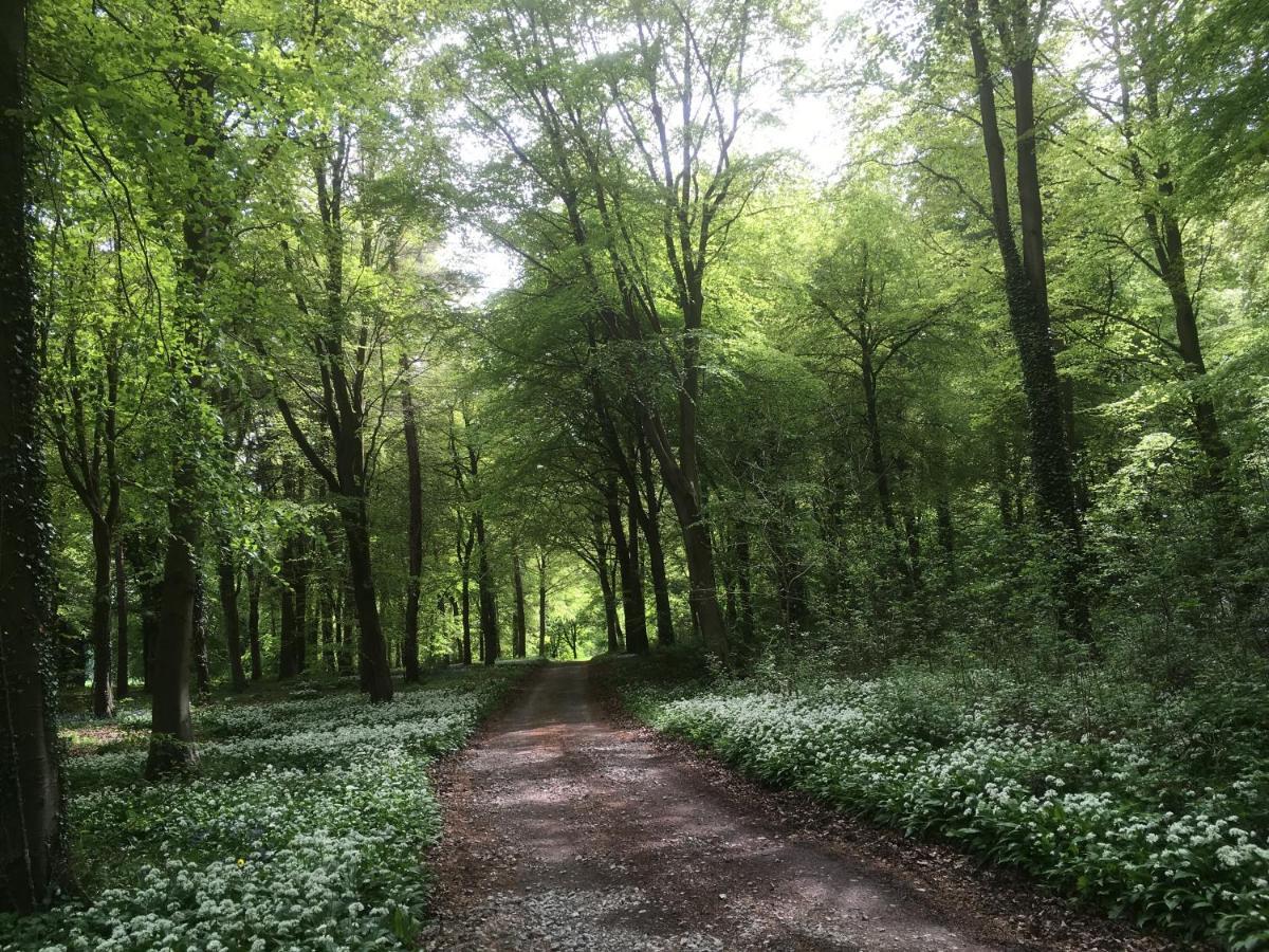 Penbedw Uchaf Estate - Rural Retreats, Tennis Mold Bagian luar foto