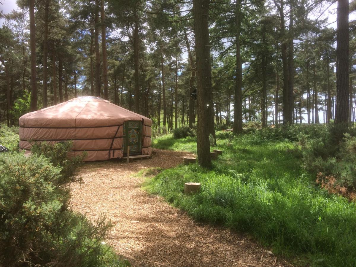 Penbedw Uchaf Estate - Rural Retreats, Tennis Mold Bagian luar foto