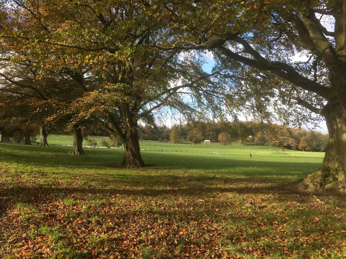 Penbedw Uchaf Estate - Rural Retreats, Tennis Mold Bagian luar foto