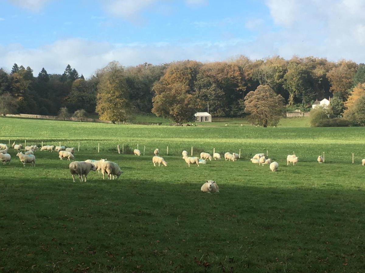 Penbedw Uchaf Estate - Rural Retreats, Tennis Mold Bagian luar foto